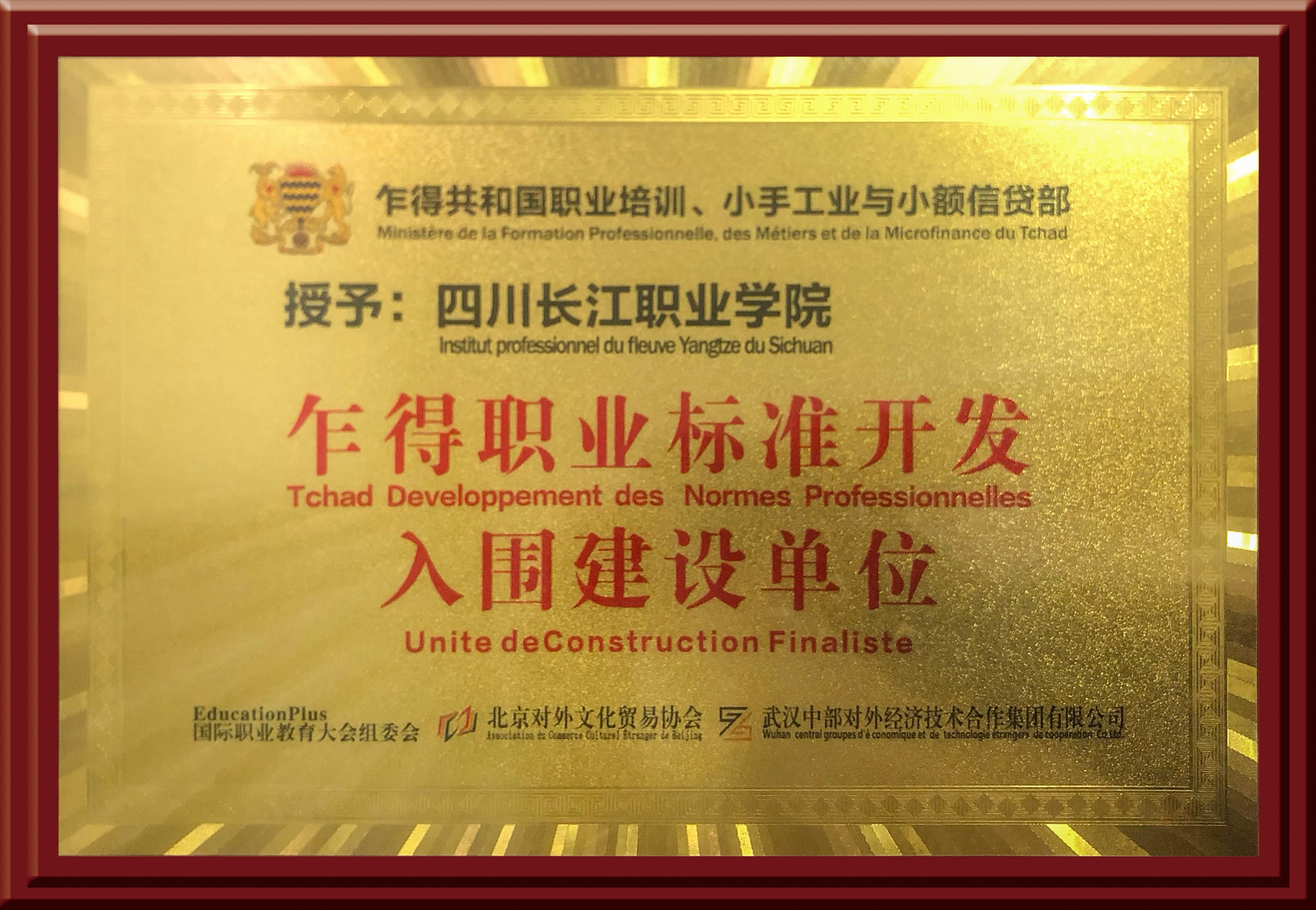 金控人力攜手長江，職教出海，入圍乍得國家職業標準共建